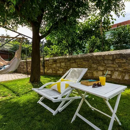 David Appartement