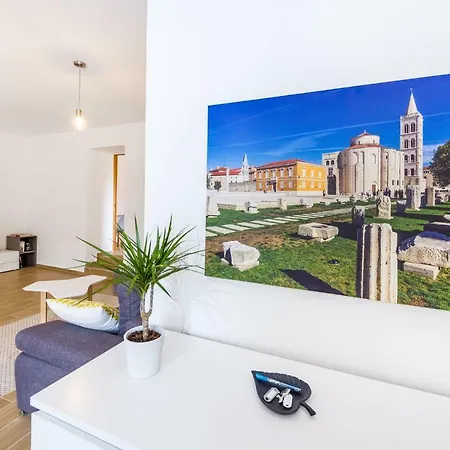 David Appartement